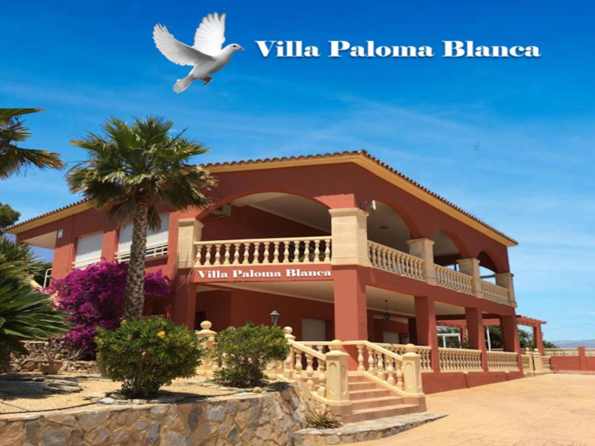 Villa Paloma Blanca 阿尔比尔 外观 照片