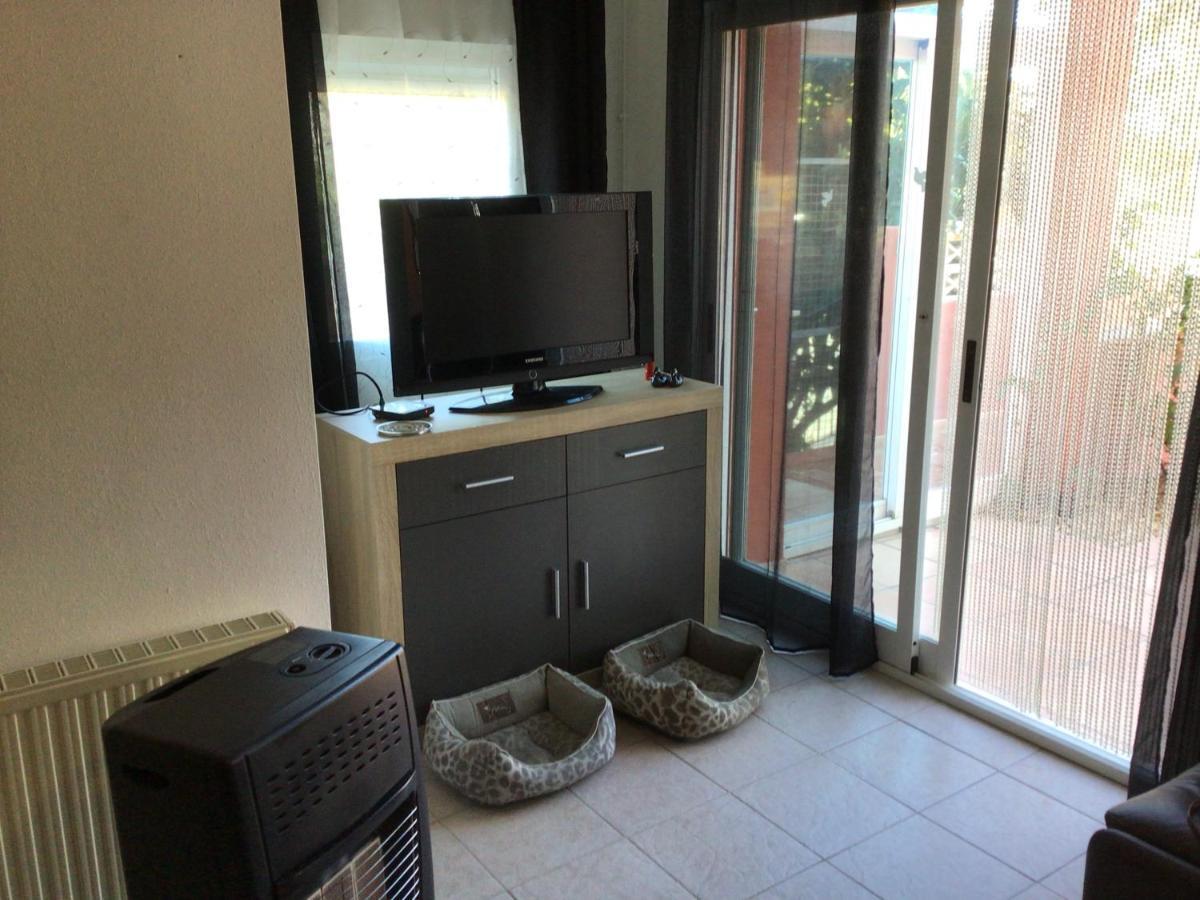Villa Paloma Blanca 阿尔比尔 外观 照片