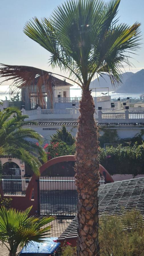 Villa Paloma Blanca 阿尔比尔 外观 照片